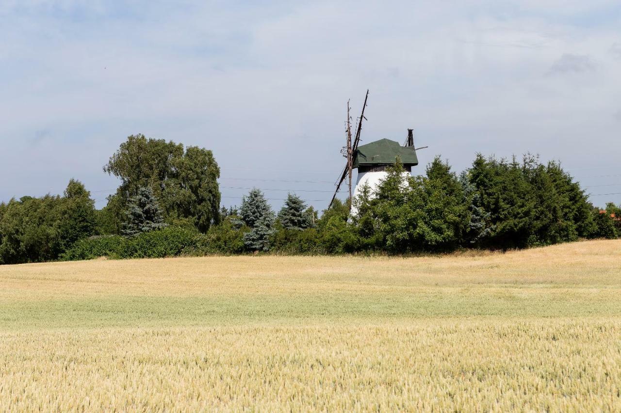 Windmill Vacation Home In Ledzin Near Baltic Sea Niechorze Extérieur photo