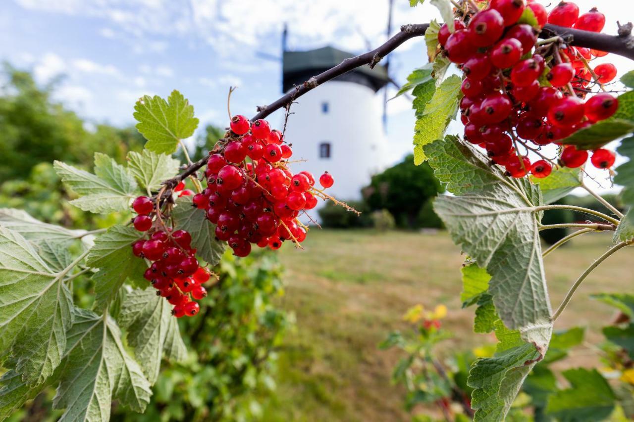 Windmill Vacation Home In Ledzin Near Baltic Sea Niechorze Extérieur photo