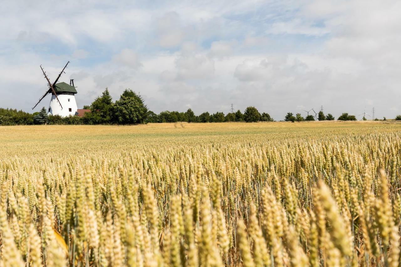 Windmill Vacation Home In Ledzin Near Baltic Sea Niechorze Extérieur photo